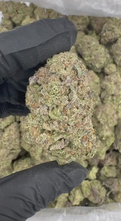 Cake Batter 🍰🎂🥣