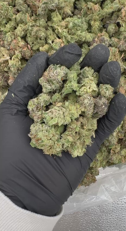 Pineapple Dolato🍍🧊🍧