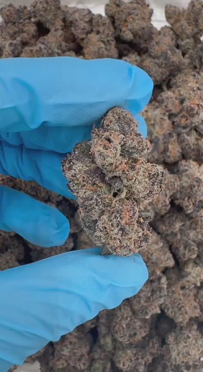 Bubbalicious (Organic)🍭🍬🤤