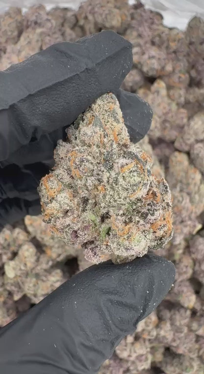 Gumbo Gelato (Organic)🍲🍦🍨