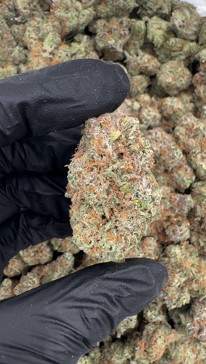 Pineapple Whip 🍍🍧🍦