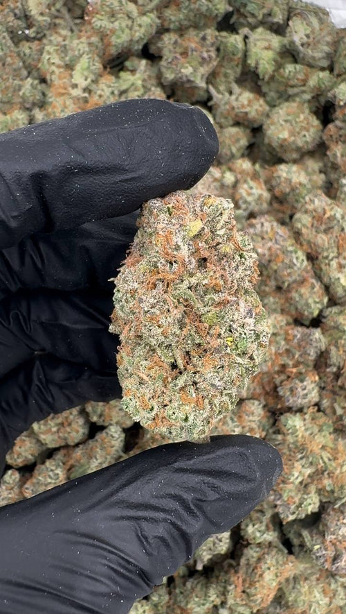 Pineapple Whip 🍍🍧🍦