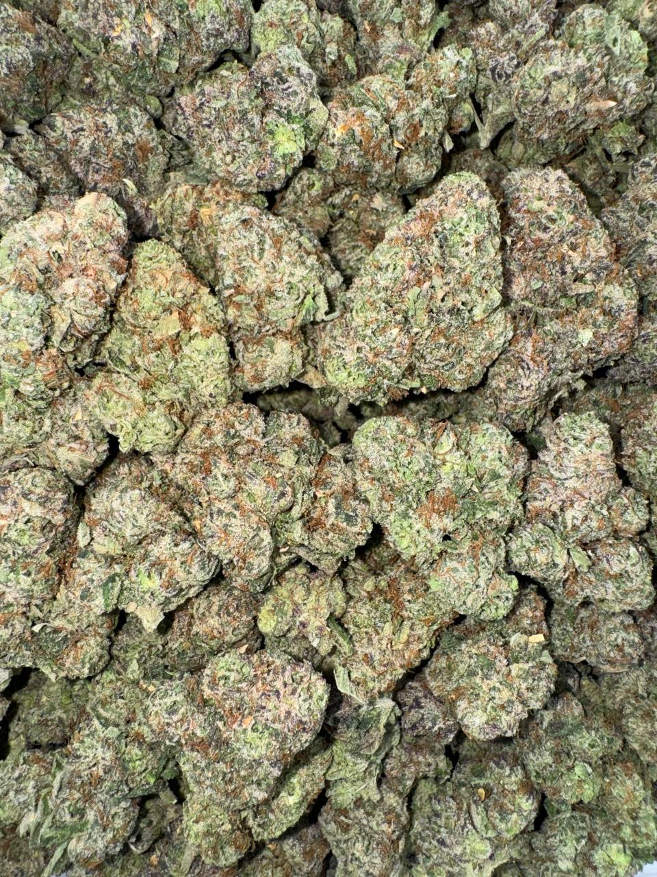 Rainbow Zkittlez 🌈🏳️‍🌈🍬