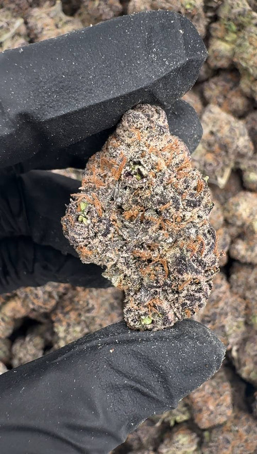 Razzmatazz (Organic) 🫐❄️🥤