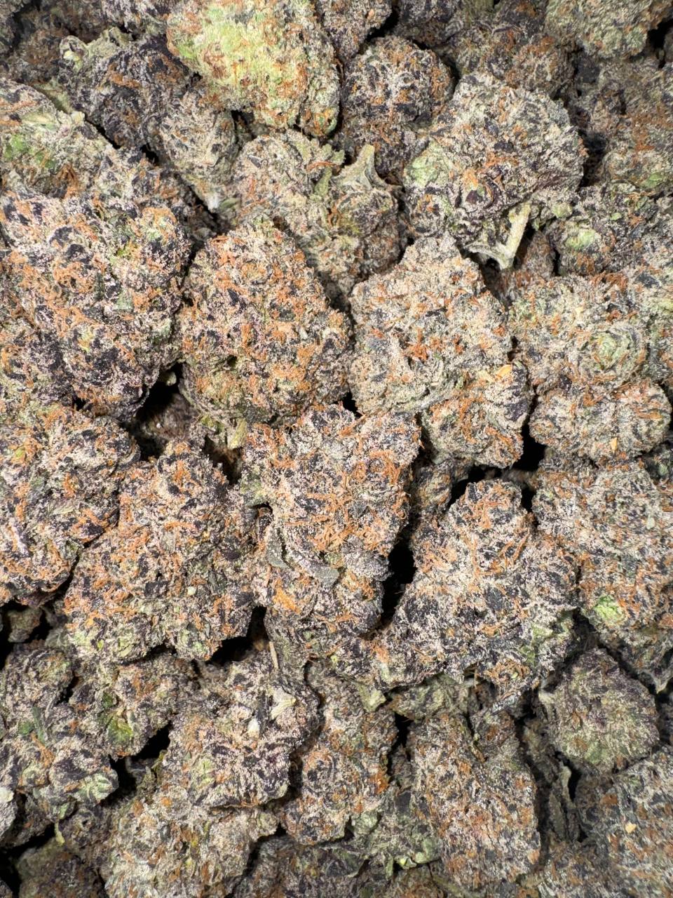 Razzmatazz (Organic) 🫐❄️🥤