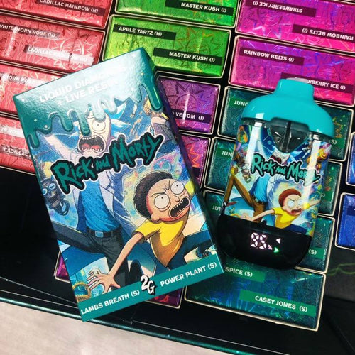 Rick and Morty 2G
