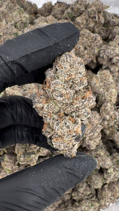 Jealousy Runtz (Organic)🥰🍇💎