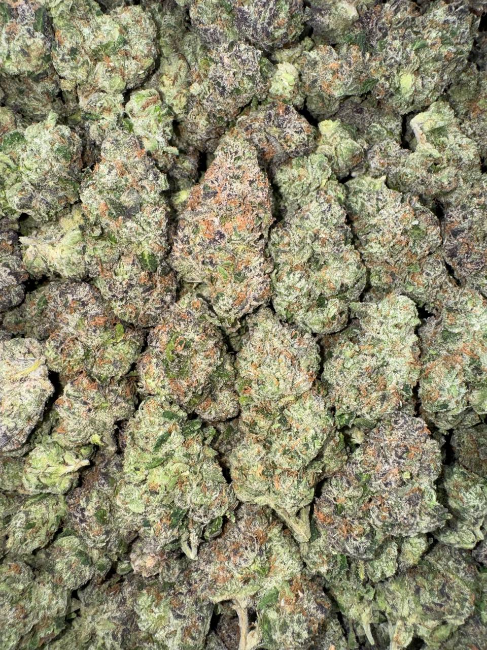 Strawberry Gushers 🍓🌊🍬
