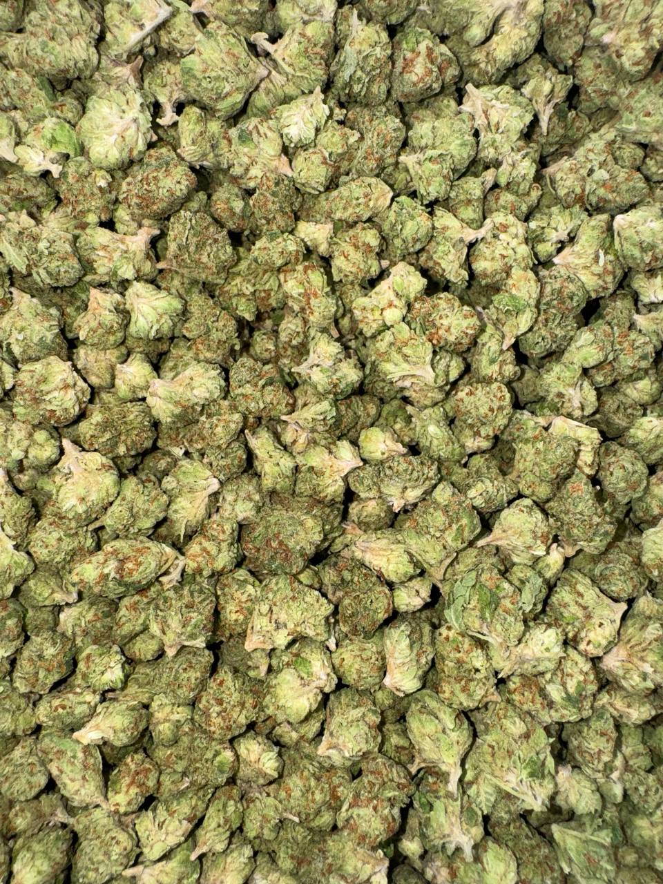 ⚜️Cali Exclusive Candy Infused ⚜️  Sprite Berry Blast flavor 🫐🍋🥤 **Lemonberry Smalls**