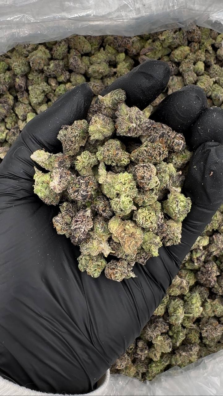 Pink Taffy Smalls (Organic)💗💞🍬