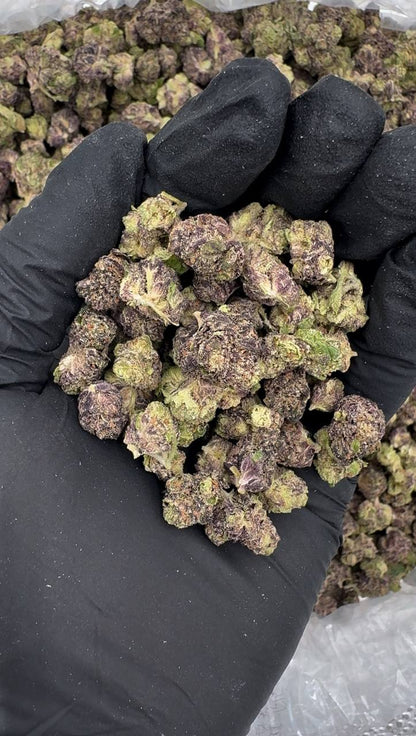 Tropical Sunset Smalls (Organic)🌺🌞🌅