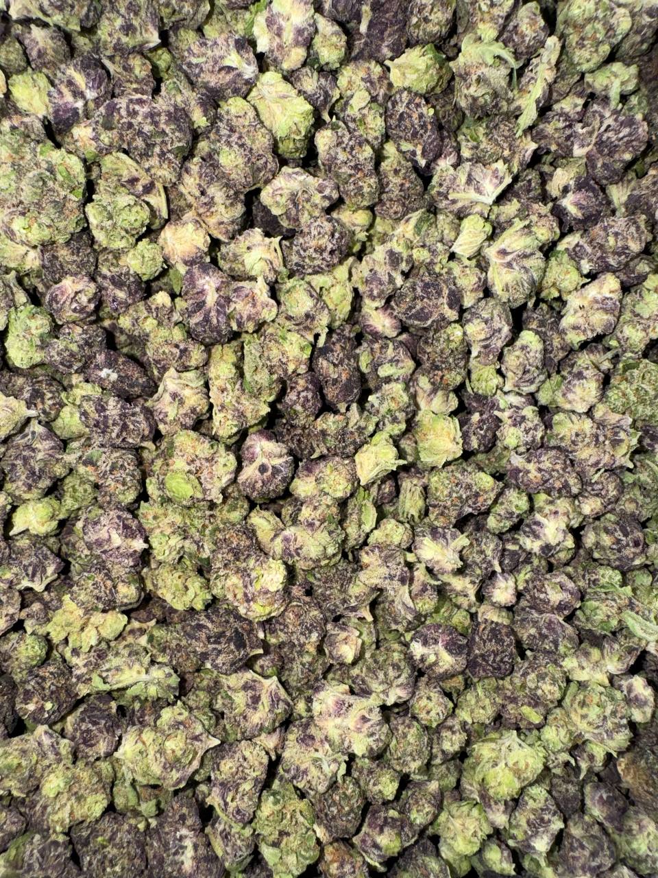 Tropical Sunset Smalls (Organic)🌺🌞🌅