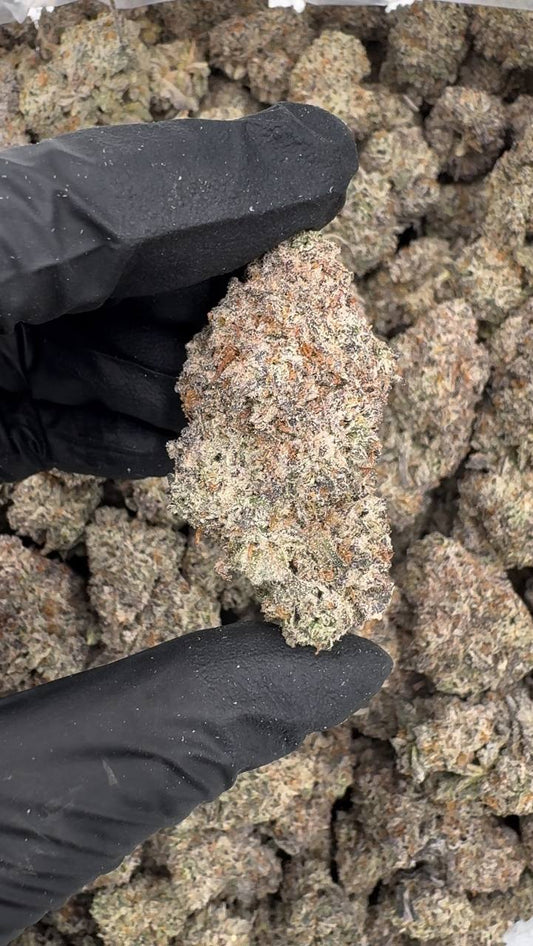 Vanilla Wafer 🍦🍨🥠