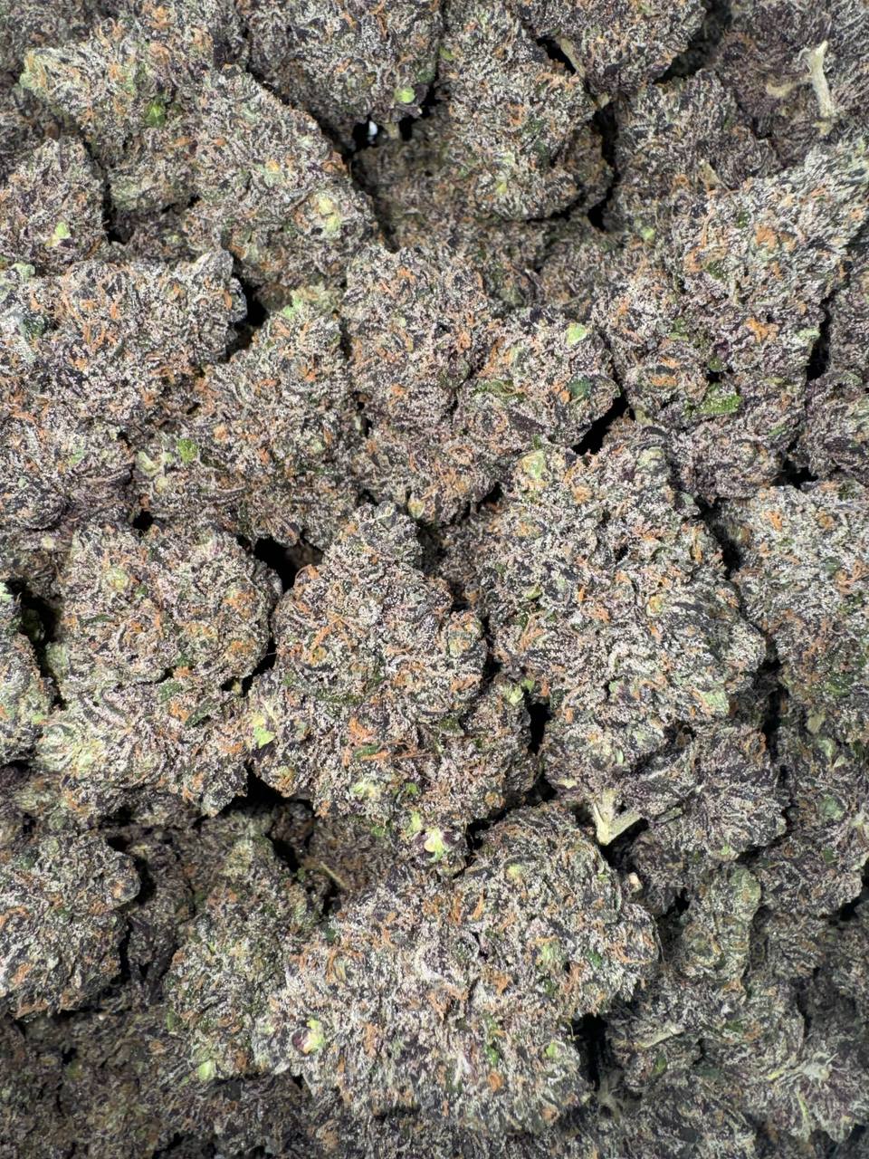 Vanilla Dream (Organic) 🍦🍨💤