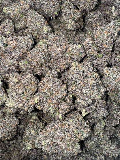 Vanilla Dream (Organic) 🍦🍨💤