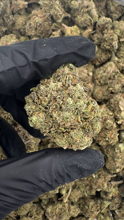 Venom 🐍🩸☠️