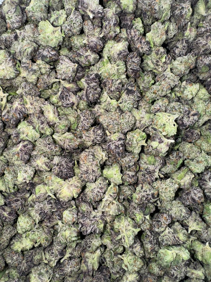 Zangbanger (Organic Mediums)⚡️🔫💥